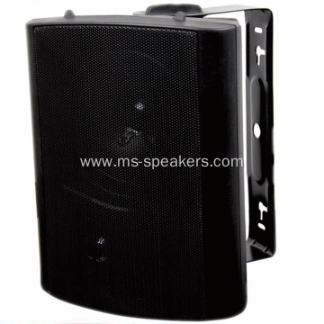 20W High Quality Wall Speaker With Regulating Switch